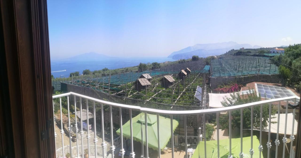 Agriturismo Il Giardino Di Vigliano Massa Lubrense Exterior photo